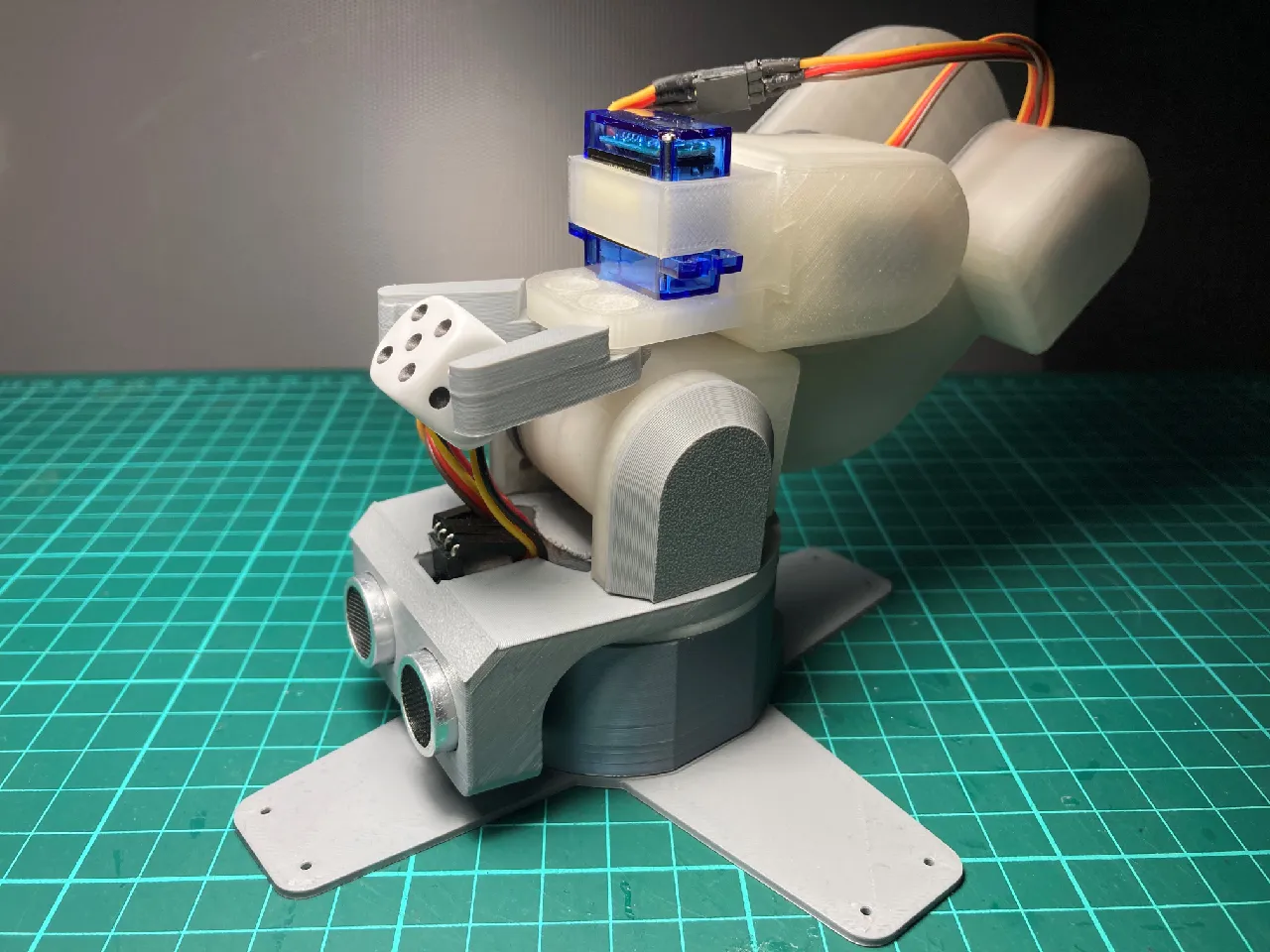 Robotic arm project